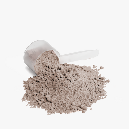Elite Standard Whey Protein (Chocolate)